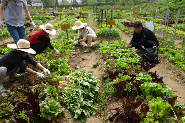 ���ʼ��ɳ��κ�������