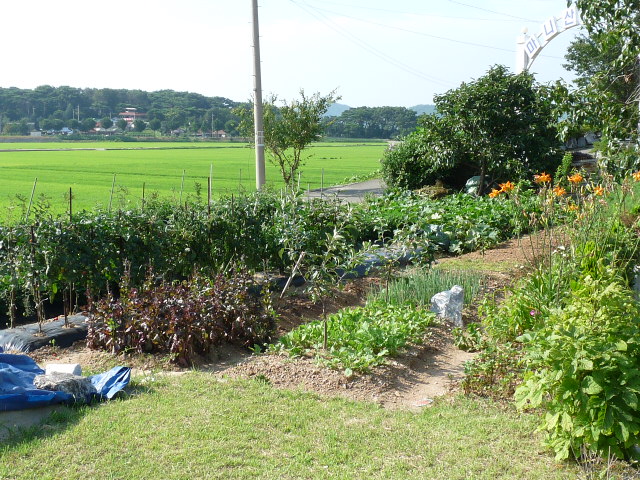 �����콺 ���ο�������Ȱ����