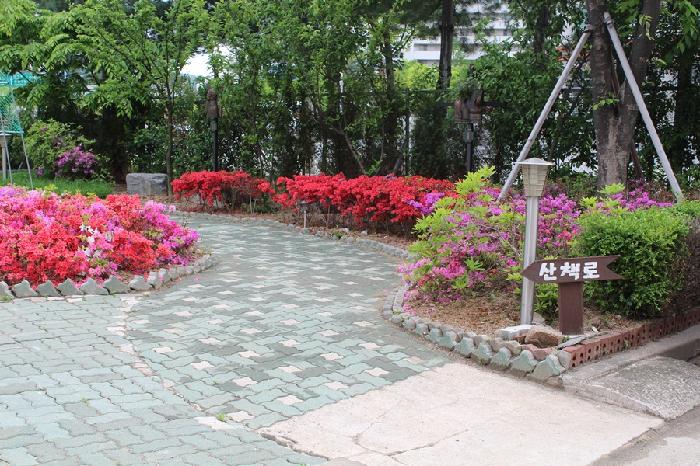 ����ɵ��׽ų����ο���