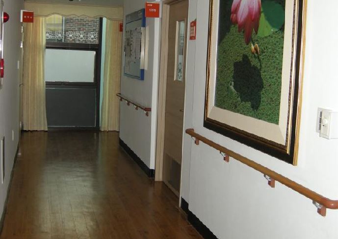 �ں�����