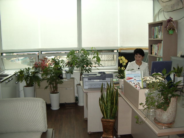 ��Ǫ���簡����