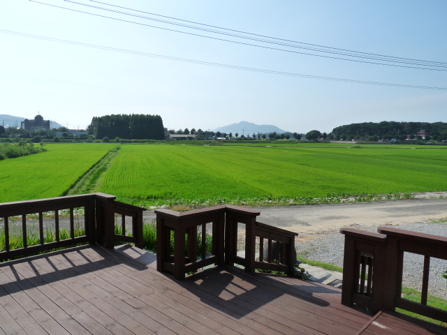 �����콺 ���ο�������Ȱ����