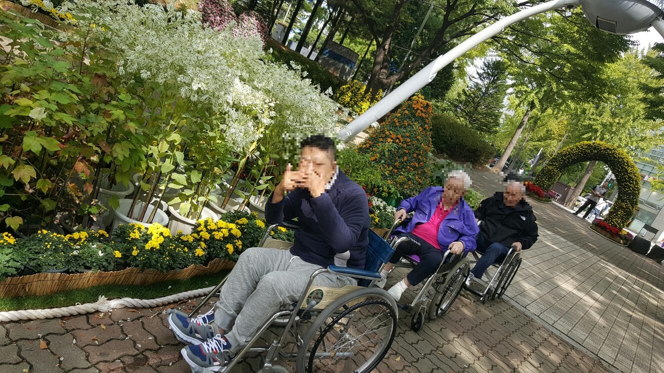 ��õYWCA����