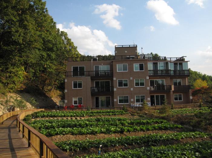 (��)û�� �ϴ�ä