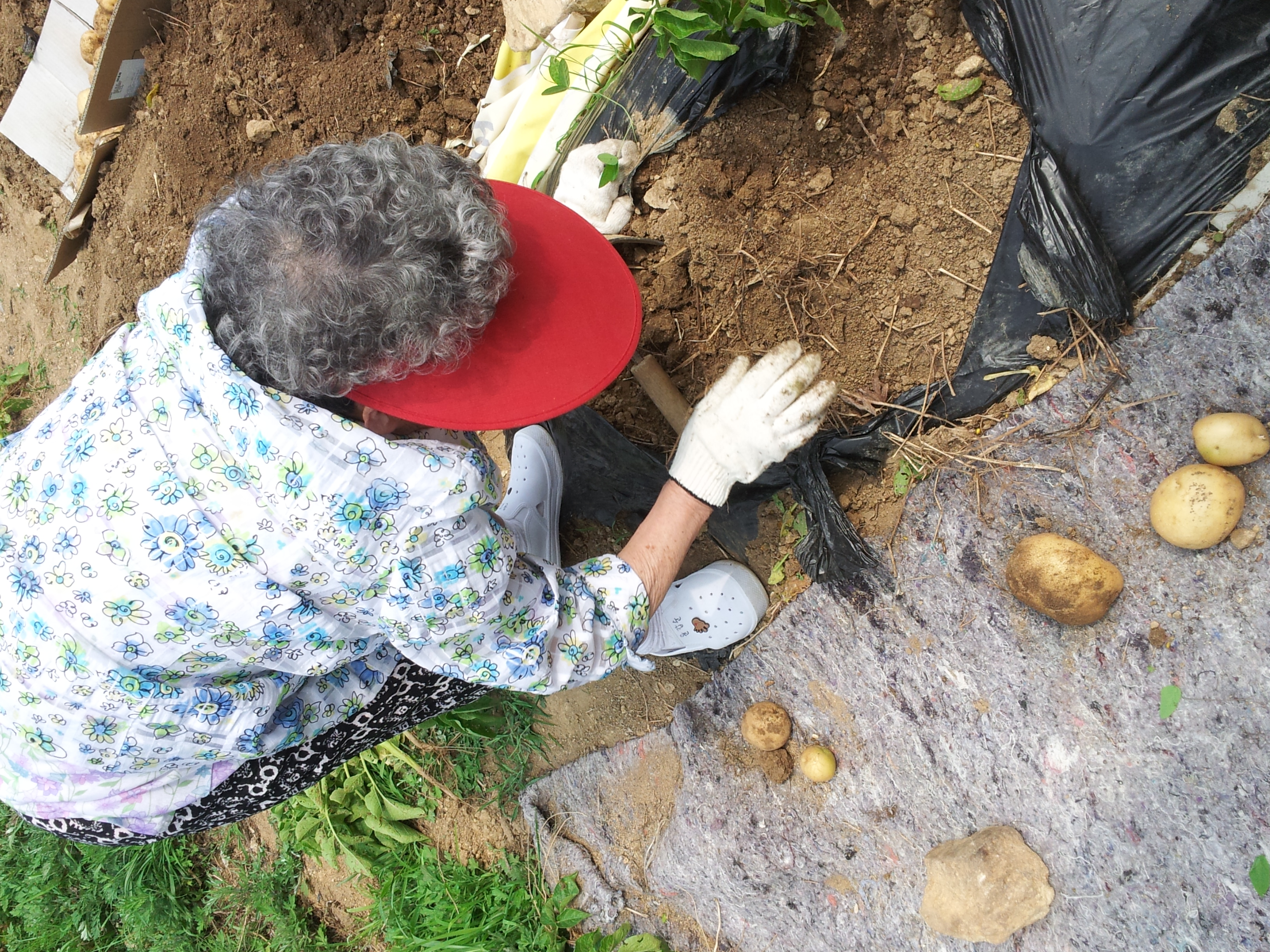 �κ����κ�������