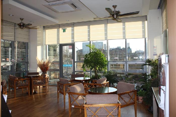 �����ϰ�ǹ�����