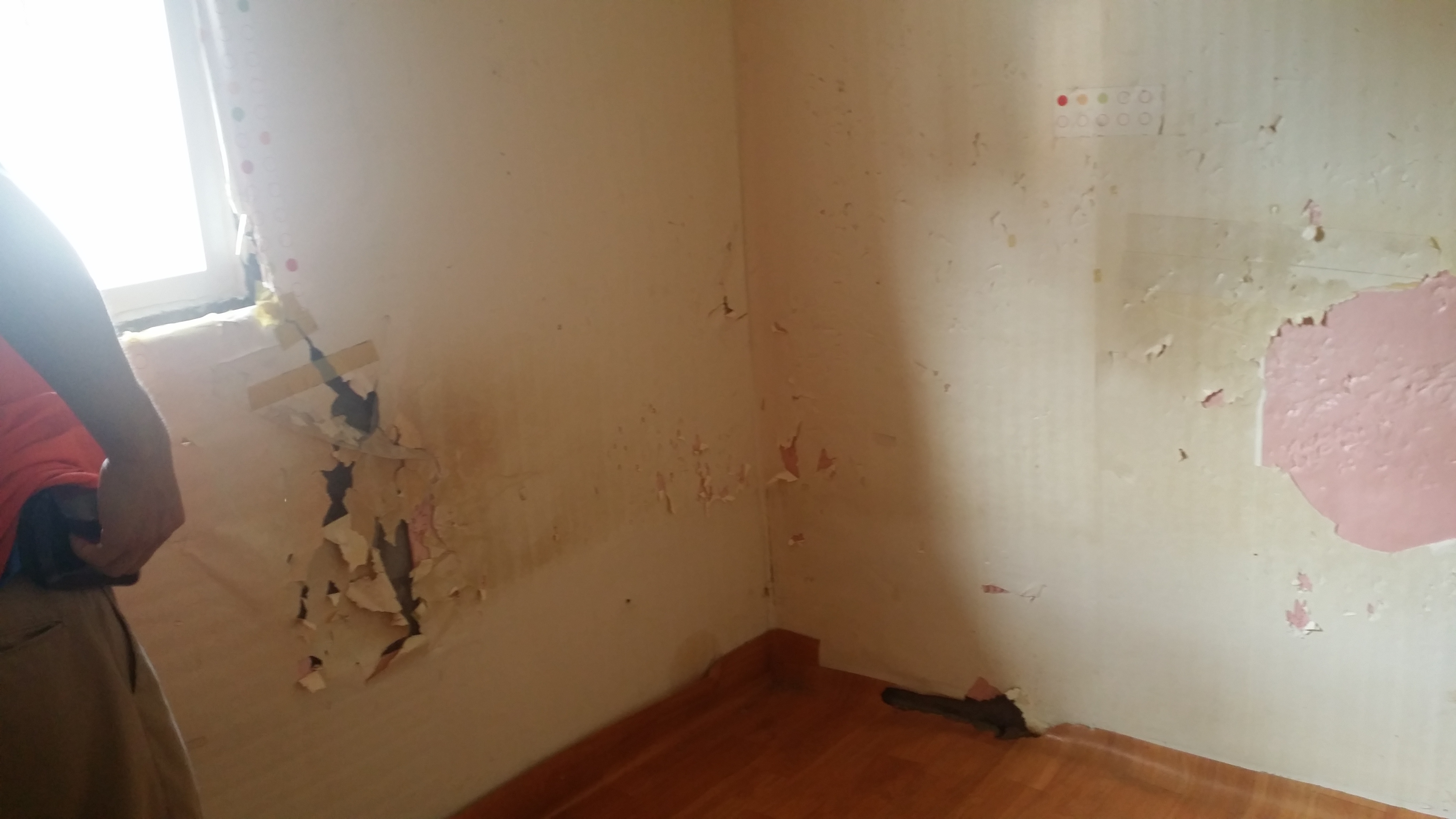 �����ɾ������