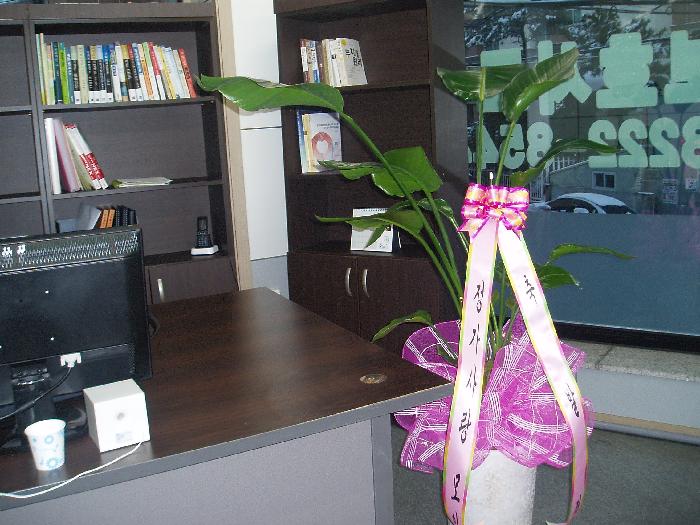 �����簡��������