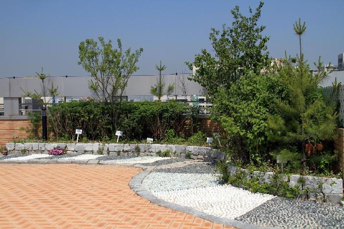 �������ĳ��ο�缾��