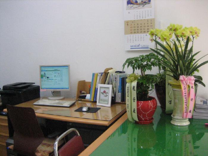 �ູ���簡���κ�������