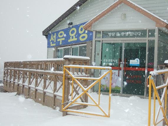 �����������