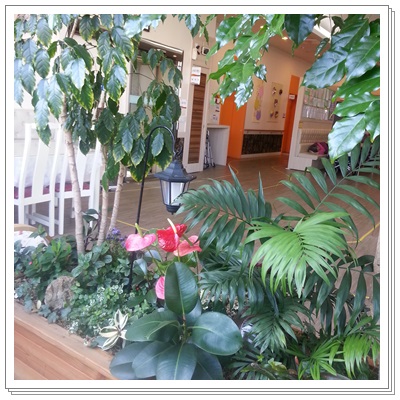 ��� �������