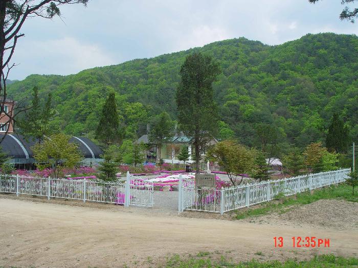 ����ɵ��׳��ο��ü�(��ȭ����)