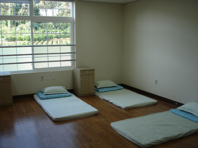 õ���������ο���