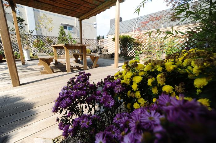 ��õ������ο���