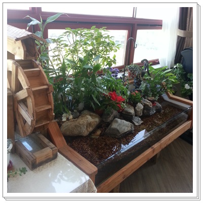 ��� �������