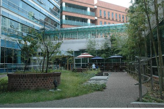 �ø����γ���������缾��