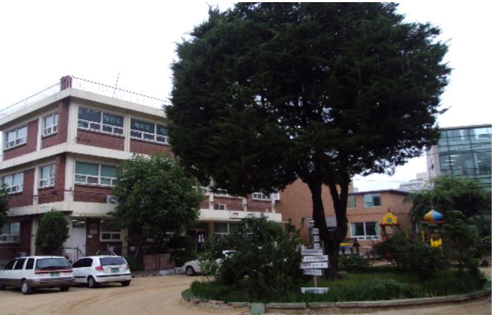 ȿ���Ǽձ� �簡�����������񽺼���