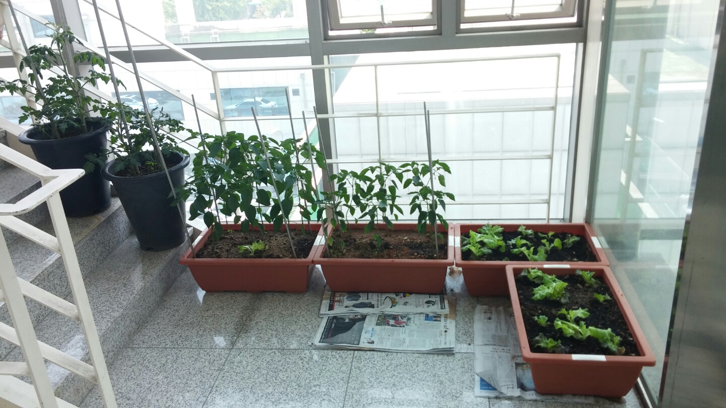 (��)�����ɾ�